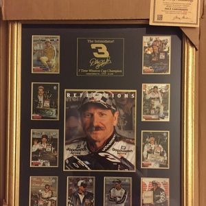 Dale Earnhardt Picture